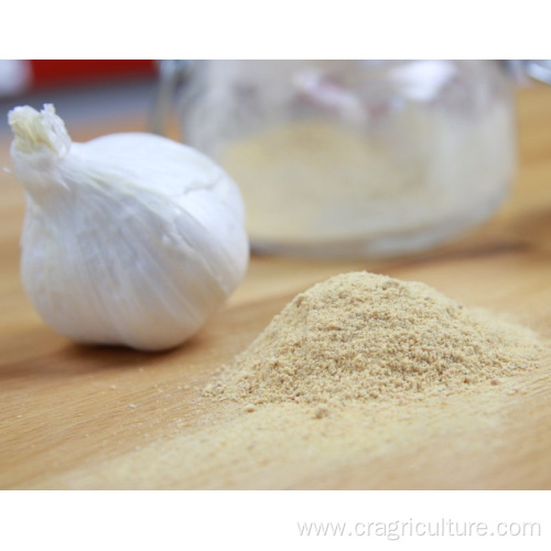 Food Grade Dry Allicin Garlic Powder